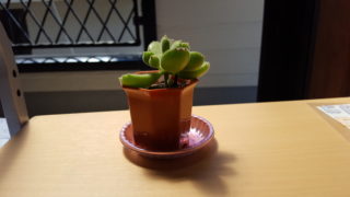 Thumbnail of post image 118