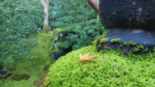 Thumbnail of post image 077