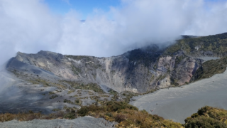 Thumbnail of post image 163