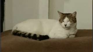 Thumbnail of post image 188