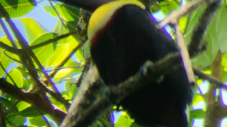 Thumbnail of post image 189