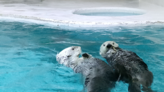 Thumbnail of post image 066