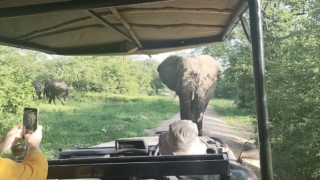 Thumbnail of post image 023