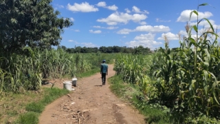 Thumbnail of post image 122