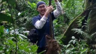 Thumbnail of post image 011