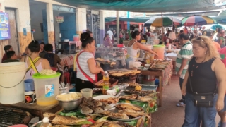 Thumbnail of post image 042