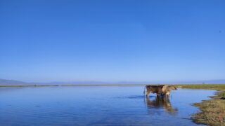 Thumbnail of post image 093